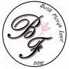 Butik Florya Collection