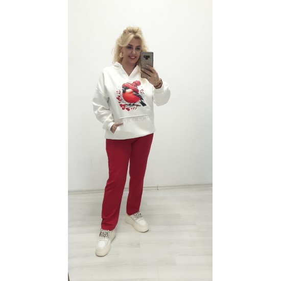 kuş tekamlı takım